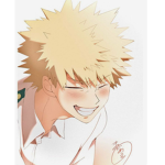 Les fan de bakugo