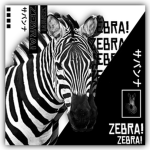 Zebra!