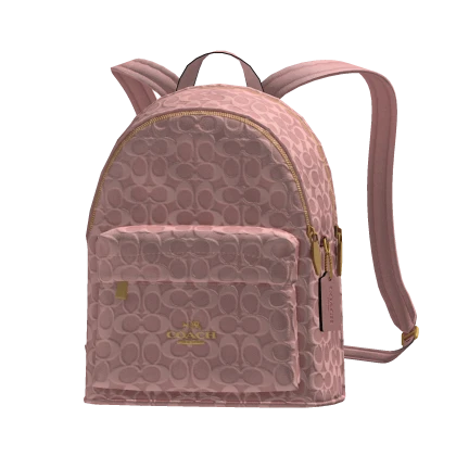 burgundy red jansport backpack All Around 26L Pack Cherry Lacquer, One Size Custom Apparel with some users stating Beginners Guide to Packing Torso Size:Medium