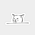 Zain's Cat UGC