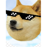 Let the doge take over