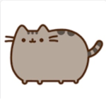 Pusheenssssss