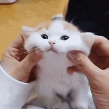 Tower of Journey's End