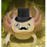 ~Lizzotheaxolotls group~