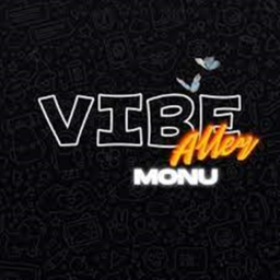 Vibe Allays