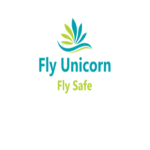 Fly Unicorn