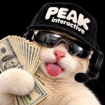 PEEK interactive
