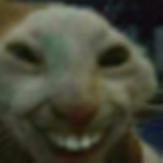 Wambly's Fan Group