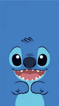 Kourtney’s stitch fam