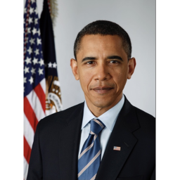 Survive the obama the anime