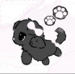 pawww Group Thumbnail