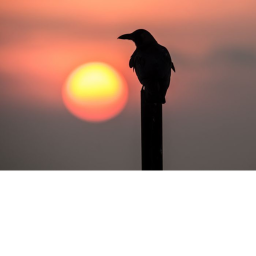 Crow HQ