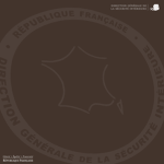 [FR] Direction Générale de la Sécurité Intérieureᅟ