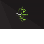 SYNERGY GAMING ASSOCIATION |SGA|