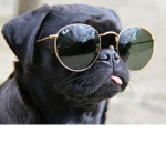 Gussy Yt