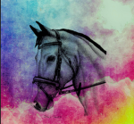 !. Horse Camp .!