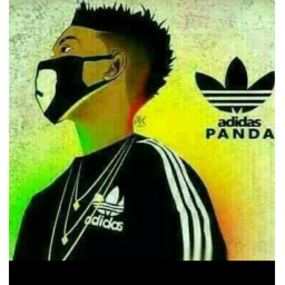 Panda Rp