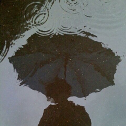 a rainy day with nobody or somebody