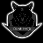 Team Black-Wolfs