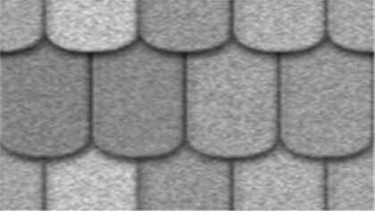 Rounded Shingles Texture Roblox decal
