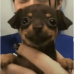 El panadero con el pan uwu
