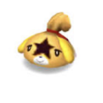 Cute kitties cute cats