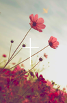 Grateful, Thankful, and blessed by God