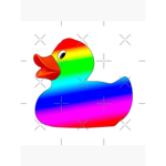 Rainbow Duck Studios