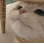 asualting