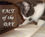 -Fact Of The Day-