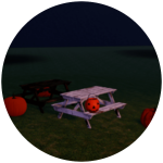 Obtain the Pumpkin bucket!
