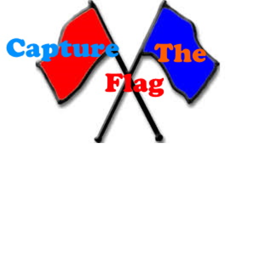 Capture the Flag (Infinity Network)