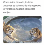 CERVAL