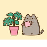 Kairi and Nishtha