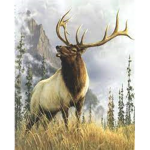 Elk games