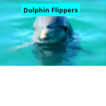 Dolphin Flippers