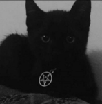 l Iove cats