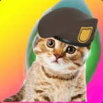 BillCat Gang