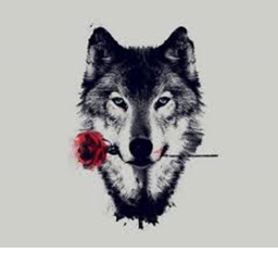 ♡Família Lobos♡ | A M I Z A D E | ♡Família Lobos♡