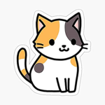 THE cat group #####