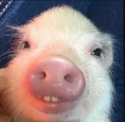 TJim's Studio avatar