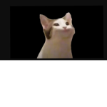 Cat kings!!