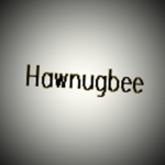 Hawnugbee Group