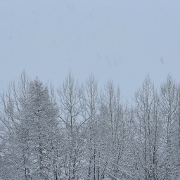 ❄