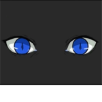 The Shade Corporation