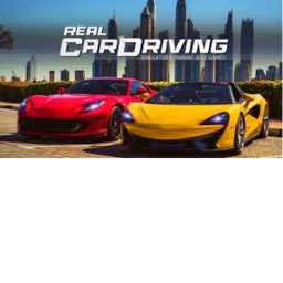 Real CAR driving 10052025_1 icon