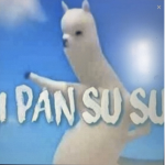 GrUp s0sIAL