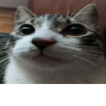 Thе Sеven Kingdоms