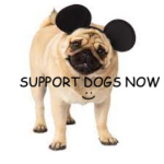 Mickey Doggie Cult