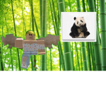 Panda Club!!!